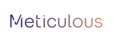 Meticulous - Automated Testing Platform