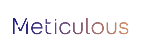 Meticulous - Automated Testing Platform